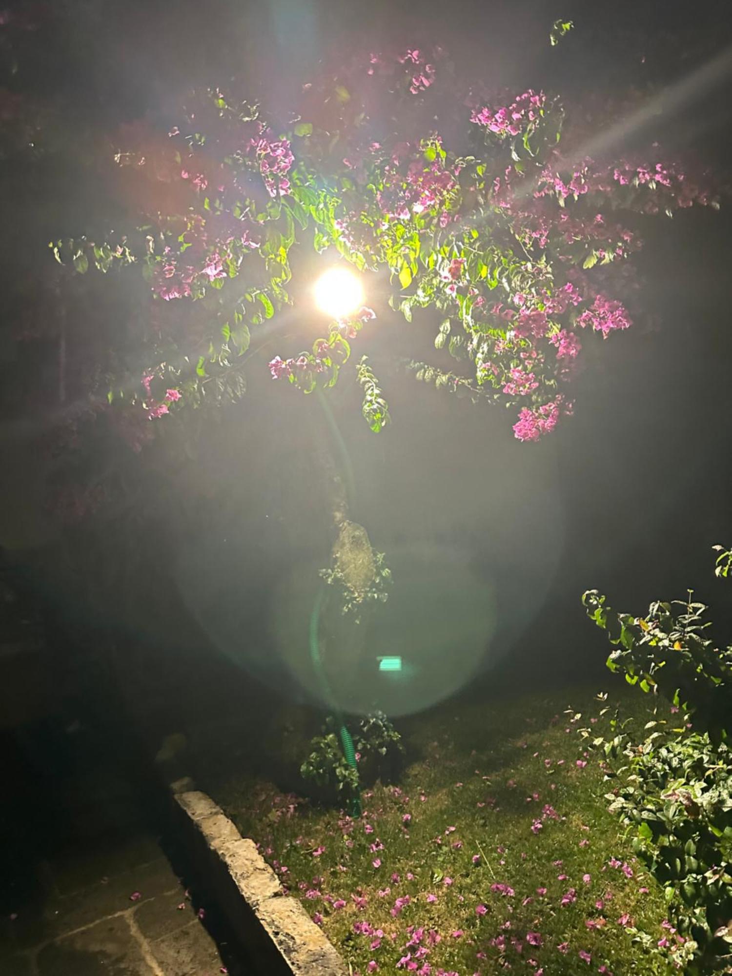 카펠라스 Solar Nossa Senhora Da Conceicao 빌라 외부 사진